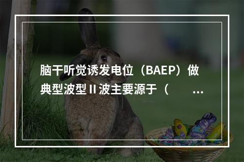 脑干听觉诱发电位（BAEP）做典型波型Ⅱ波主要源于（　　）