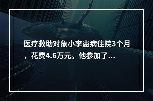 医疗救助对象小李患病住院3个月，花费4.6万元。他参加了城镇