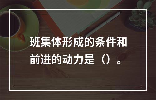 班集体形成的条件和前进的动力是（）。