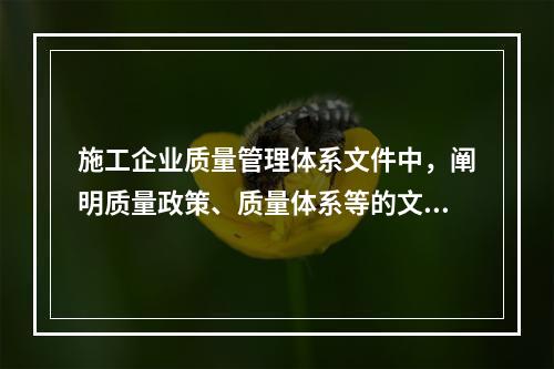 施工企业质量管理体系文件中，阐明质量政策、质量体系等的文件是