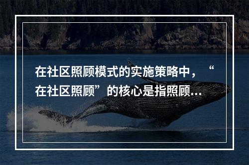 在社区照顾模式的实施策略中，“在社区照顾”的核心是指照顾服务