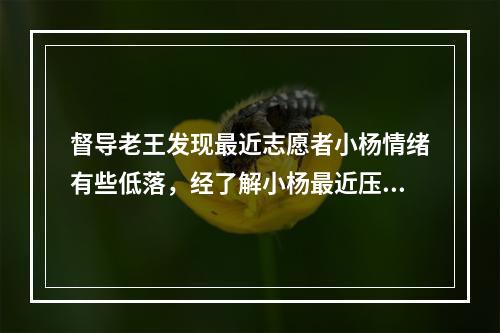 督导老王发现最近志愿者小杨情绪有些低落，经了解小杨最近压力比