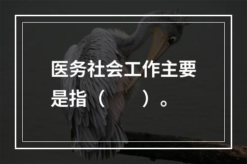 医务社会工作主要是指（　　）。