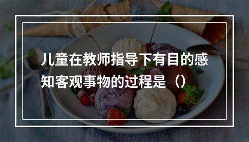 儿童在教师指导下有目的感知客观事物的过程是（）