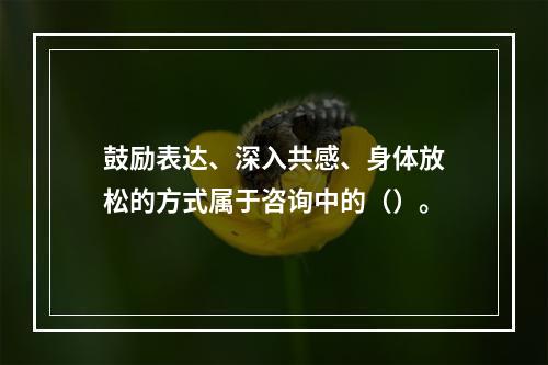 鼓励表达、深入共感、身体放松的方式属于咨询中的（）。