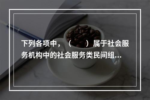 下列各项中，（　　）属于社会服务机构中的社会服务类民间组织。