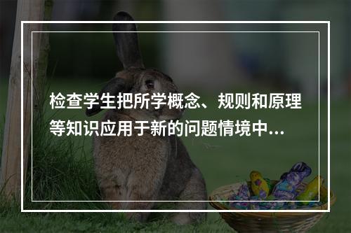 检查学生把所学概念、规则和原理等知识应用于新的问题情境中解决