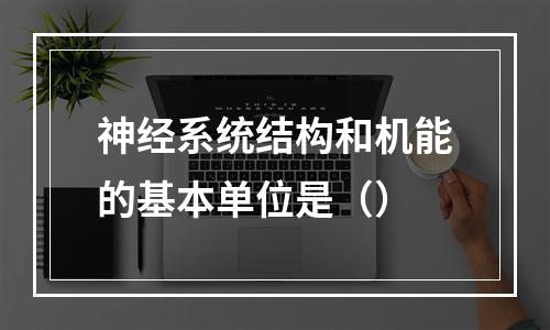 神经系统结构和机能的基本单位是（）