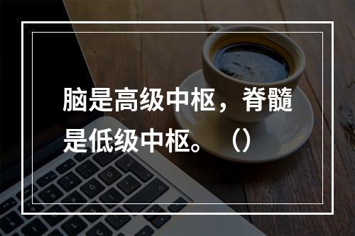 脑是高级中枢，脊髓是低级中枢。（）