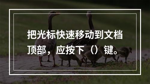 把光标快速移动到文档顶部，应按下（）键。