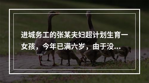 进城务工的张某夫妇超计划生育一女孩，今年已满六岁，由于没有准