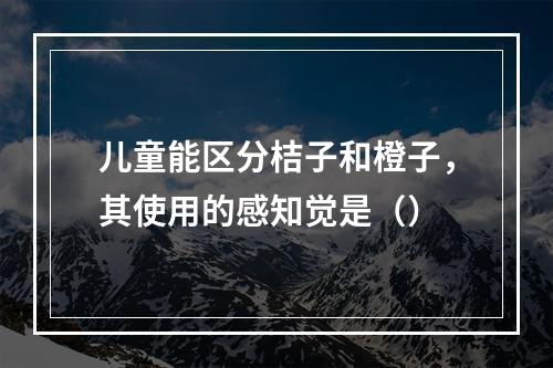 儿童能区分桔子和橙子，其使用的感知觉是（）