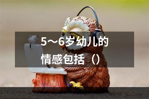 5～6岁幼儿的情感包括（）