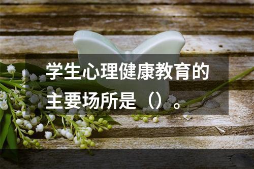 学生心理健康教育的主要场所是（）。