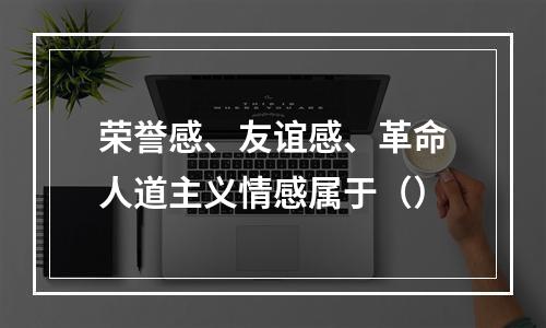 荣誉感、友谊感、革命人道主义情感属于（）