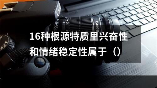 16种根源特质里兴奋性和情绪稳定性属于（）