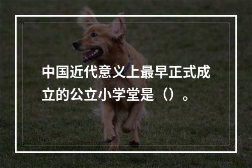 中国近代意义上最早正式成立的公立小学堂是（）。