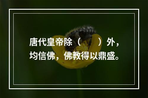 唐代皇帝除（　　）外，均信佛，佛教得以鼎盛。