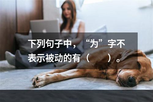 下列句子中，“为”字不表示被动的有（　　）。