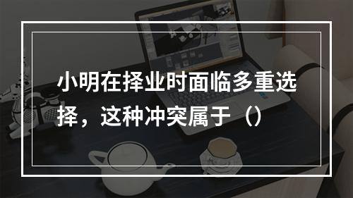 小明在择业时面临多重选择，这种冲突属于（）