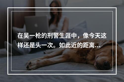 在吴一枪的刑警生涯中，像今天这样还是头一次。如此近的距离，就