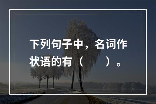 下列句子中，名词作状语的有（　　）。