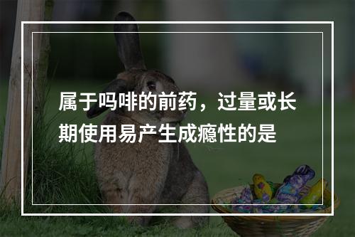 属于吗啡的前药，过量或长期使用易产生成瘾性的是