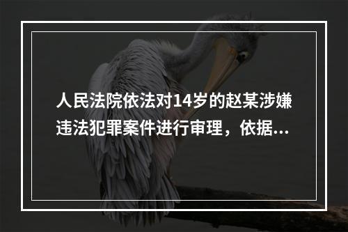 人民法院依法对14岁的赵某涉嫌违法犯罪案件进行审理，依据《中