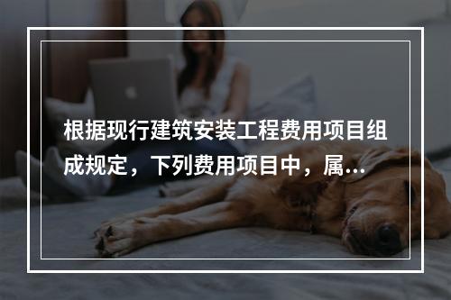 根据现行建筑安装工程费用项目组成规定，下列费用项目中，属于建