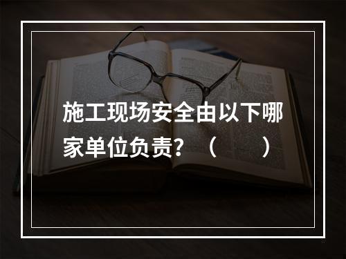 施工现场安全由以下哪家单位负责？（　　）