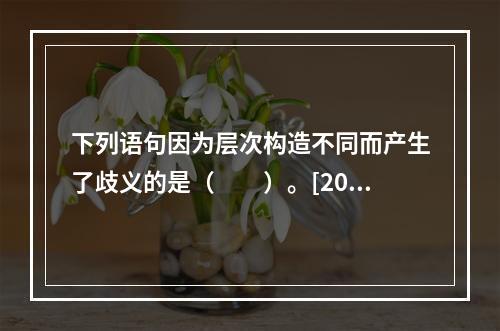 下列语句因为层次构造不同而产生了歧义的是（　　）。[200