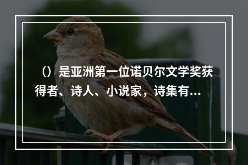 （）是亚洲第一位诺贝尔文学奖获得者、诗人、小说家，诗集有《飞