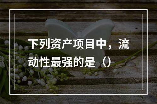 下列资产项目中，流动性最强的是（）