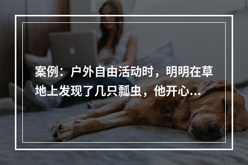 案例：户外自由活动时，明明在草地上发现了几只瓢虫，他开心极了