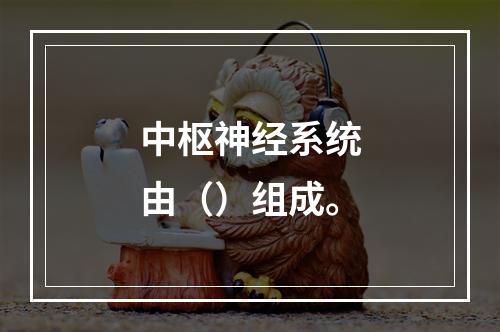 中枢神经系统由（）组成。