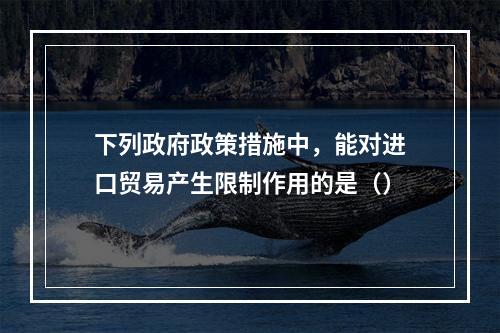 下列政府政策措施中，能对进口贸易产生限制作用的是（）