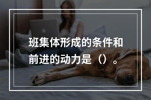 班集体形成的条件和前进的动力是（）。