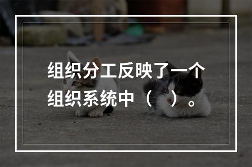 组织分工反映了一个组织系统中（　）。