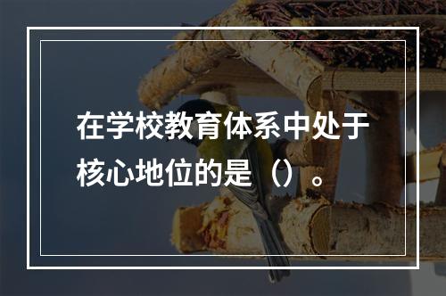 在学校教育体系中处于核心地位的是（）。