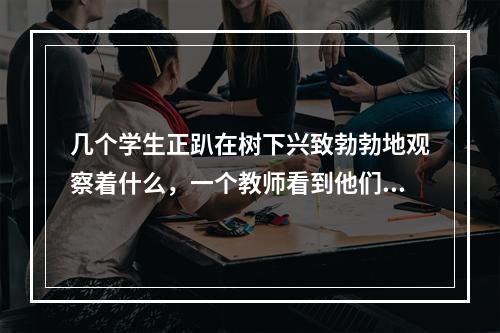 几个学生正趴在树下兴致勃勃地观察着什么，一个教师看到他们满身