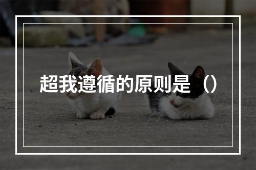 超我遵循的原则是（）