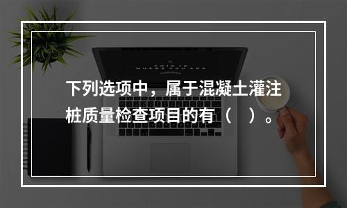 下列选项中，属于混凝土灌注桩质量检查项目的有（　）。