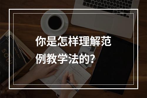 你是怎样理解范例教学法的？