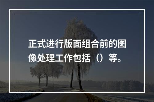 正式进行版面组合前的图像处理工作包括（）等。