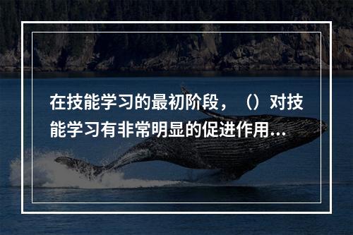 在技能学习的最初阶段，（）对技能学习有非常明显的促进作用。