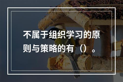 不属于组织学习的原则与策略的有（）。