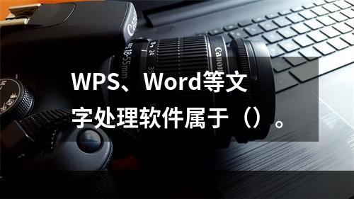 WPS、Word等文字处理软件属于（）。