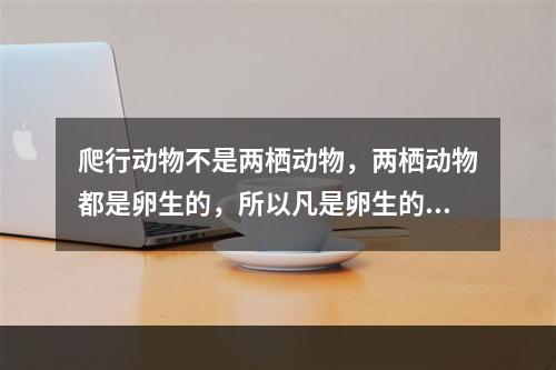 爬行动物不是两栖动物，两栖动物都是卵生的，所以凡是卵生的动物