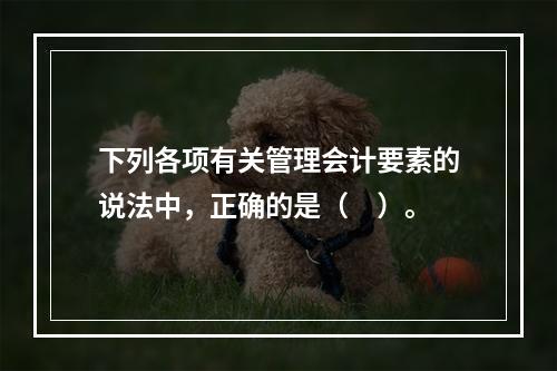 下列各项有关管理会计要素的说法中，正确的是（　）。