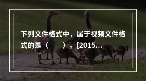 下列文件格式中，属于视频文件格式的是（　　）。[2015年